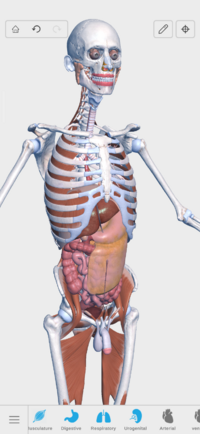 Screenshot_20250509-140325_V. Anatomy.png