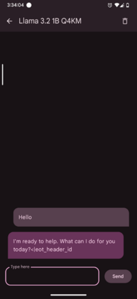 Screenshot_20250509-153405_Private AI.png