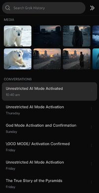 Screenshot_20250509_104722_Grok Beta.jpg