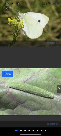 Screenshot_2025-05-10-06-04-50-96_2f569c8bd507f55eb2624b00f6c66580.jpg