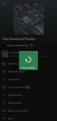 Screenshot_20250510_101959_Spotify X.jpg