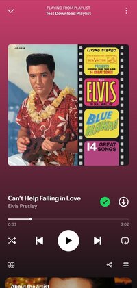 Screenshot_20250510_102211_Spotify X.jpg