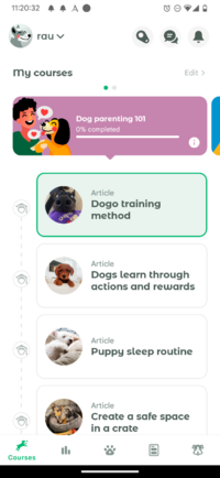 Screenshot_20250512-232033_Dogo.png