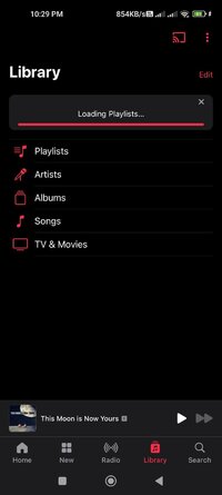 Screenshot_2025-04-16-22-29-09-004_com.apple.android.music.jpg