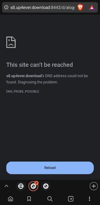 Screenshot_20250627_163126_Brave.jpg