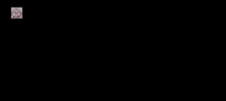 Screenshot_20250630-010555.jpg