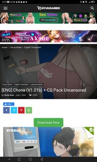Screenshot_20250713_222048_com.android.chrome.jpg