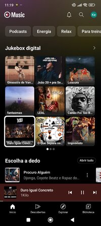 Screenshot_2025-07-14-11-19-55-802_app.rvx.android.apps.youtube.music.jpg