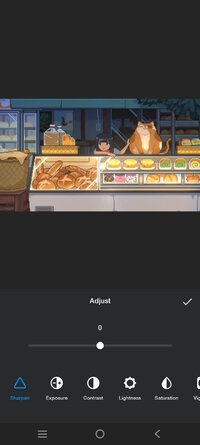 Screenshot_20250715_061128.jpg
