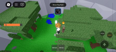 Screenshot_20250718_085102_com.roblox.client.jpg