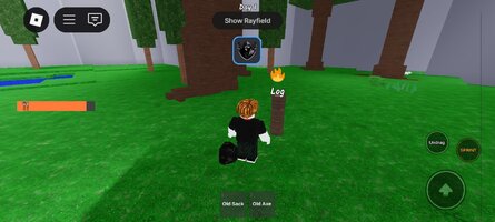 Screenshot_20250718_085045_com.roblox.client.jpg