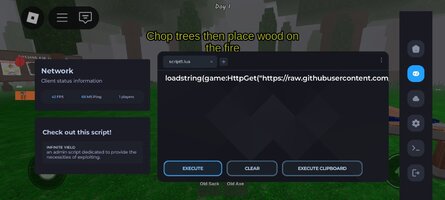 Screenshot_20250718_084835_com.roblox.client.jpg