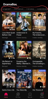 Screenshot_20250721_142918_DramaBox.jpg