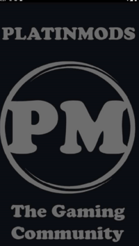 Startup PM.png