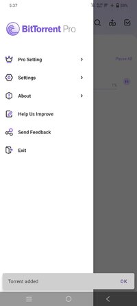 Screenshot_20250728_173740.jpg
