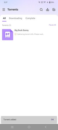 Screenshot_20250728_173739.jpg