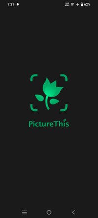Screenshot_20250731_193147.jpg