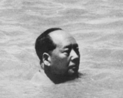 swimming mao.png