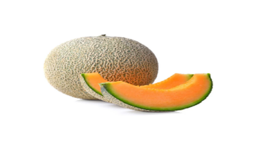 cantaloupescreen.png