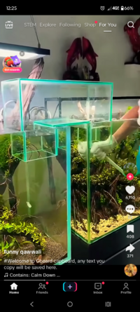Screenshot_20250912-122501.TikTok.png