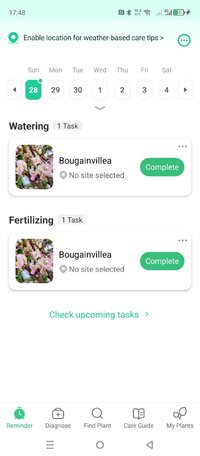 Screenshot_20250928-174858.jpg