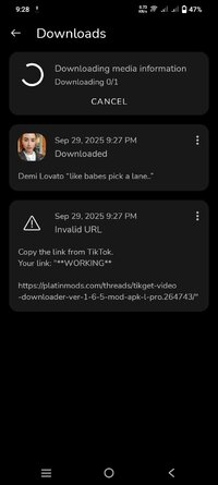 Screenshot_20250929_212827.jpg