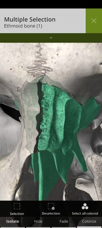 Screenshot_2025-10-03-09-09-23-694_com.anatomyka.android.jpg