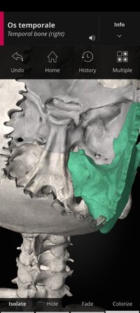Screenshot_2025-10-03-09-08-50-477_com.anatomyka.android.jpg