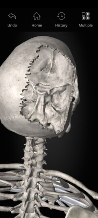 Screenshot_2025-10-03-09-08-36-566_com.anatomyka.android.jpg