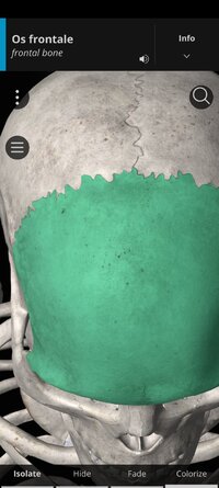 Screenshot_2025-10-03-09-08-15-342_com.anatomyka.android.jpg