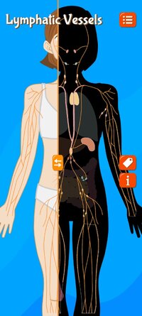 Screenshot_20251023_113157_Anatomix.jpg