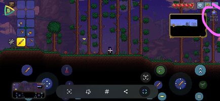 Screenshot_20251022_174011_Terraria.jpg
