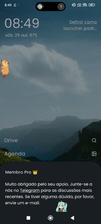 Screenshot_2025-10-25-08-49-20-941_app.prolauncher.jpg