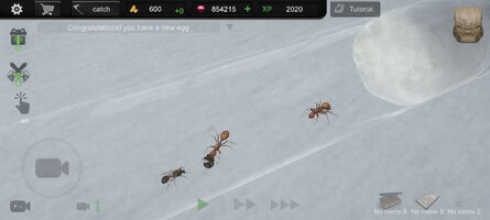 Screenshot_2025-10-28-19-34-57-682_com.TrinityGames.AntSim.jpg