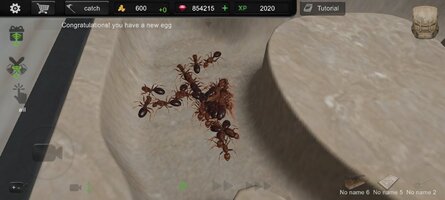 Screenshot_2025-10-28-19-37-36-246_com.TrinityGames.AntSim.jpg