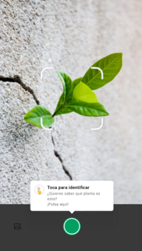 Captura de pantalla (418).png