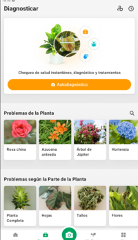 Captura de pantalla (420).png