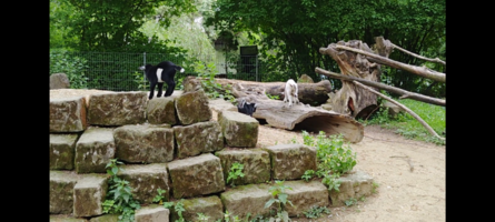 Screenshot_20251102-123904_M3U IPTV.png