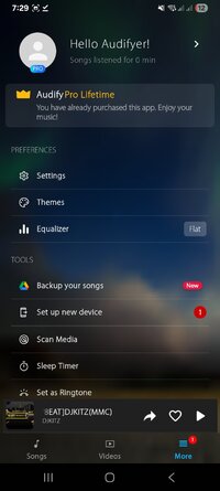 Screenshot_20251103_192936_Audify Music Player.jpg