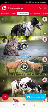 Screenshot_2025-11-04-13-53-45-709_com.dream_studio.animalringtones.jpg