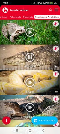 Screenshot_2025-11-04-13-54-01-520_com.dream_studio.animalringtones.jpg