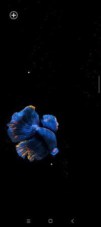 Screenshot_2025-11-04-18-33-19-447_com.maxelus.livewallpaper.betta120.jpg
