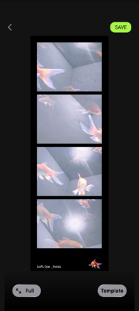 Screenshot_20251106-185637_LoFi Cam.png