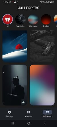 Screenshot_20251110_141737_NewThing Widgets Pro.jpg