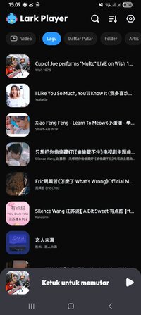 Screenshot_20251115_150934_Lark Player.jpg