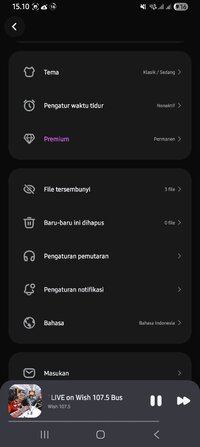 Screenshot_20251115_151032_Lark Player.jpg