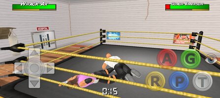 Screenshot_20251115_195923_Wrestling Empire.jpg