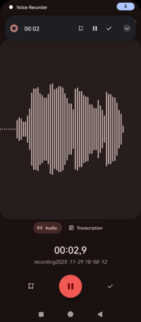 Screenshot_20251129-185815_Voice Recorder.png