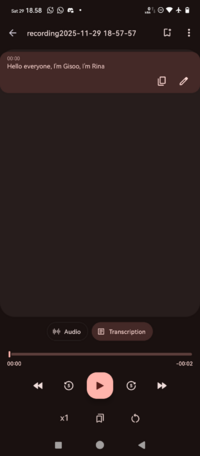 Screenshot_20251129-185847_Voice Recorder.png
