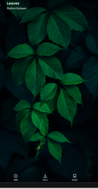 Captura de pantalla (1213).png